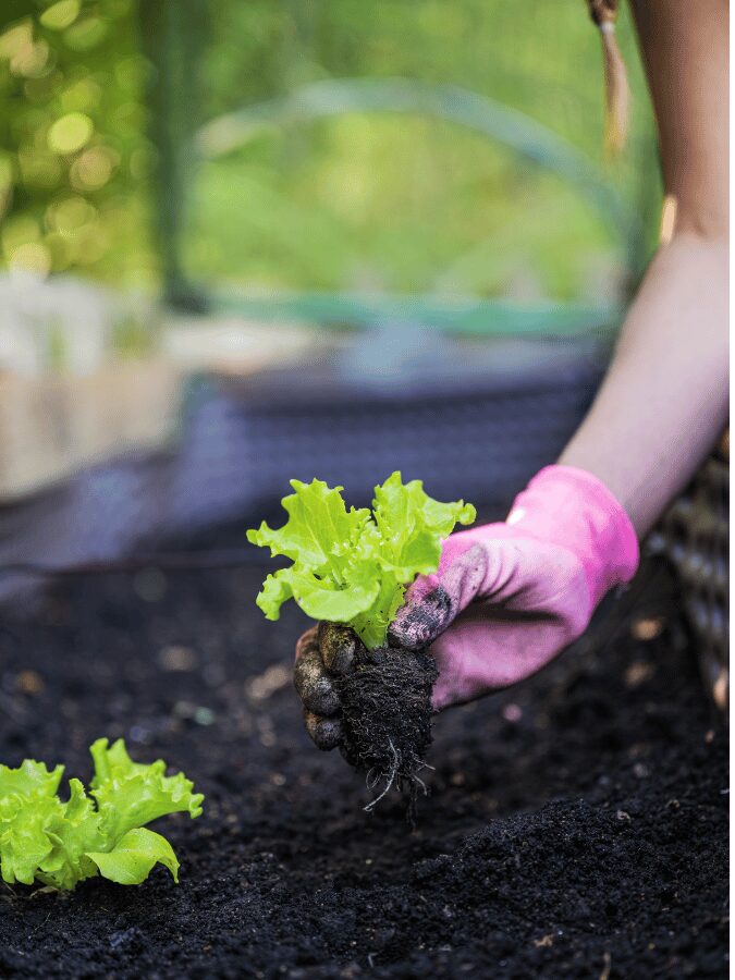gardening